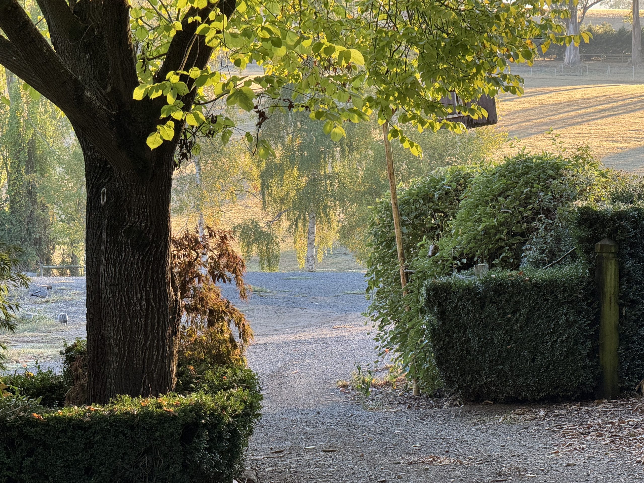 Beautiful Country Gardens at The Homestead by Scotch Hill. West Gippsland.