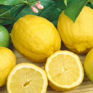 Buy Advanced Eureka Lemon