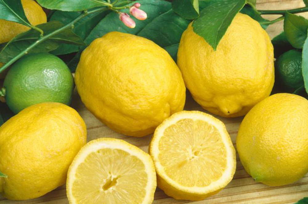 Buy Advanced Eureka Lemon