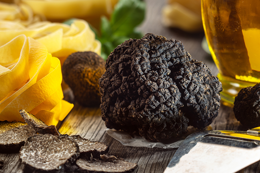 Truffle Hunt