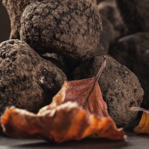 Buy Fresh Truffles