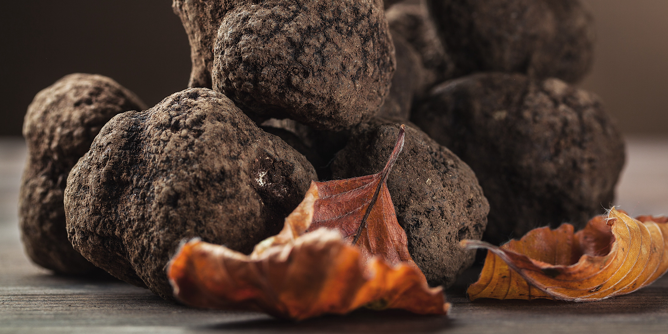 Buy Fresh Truffles