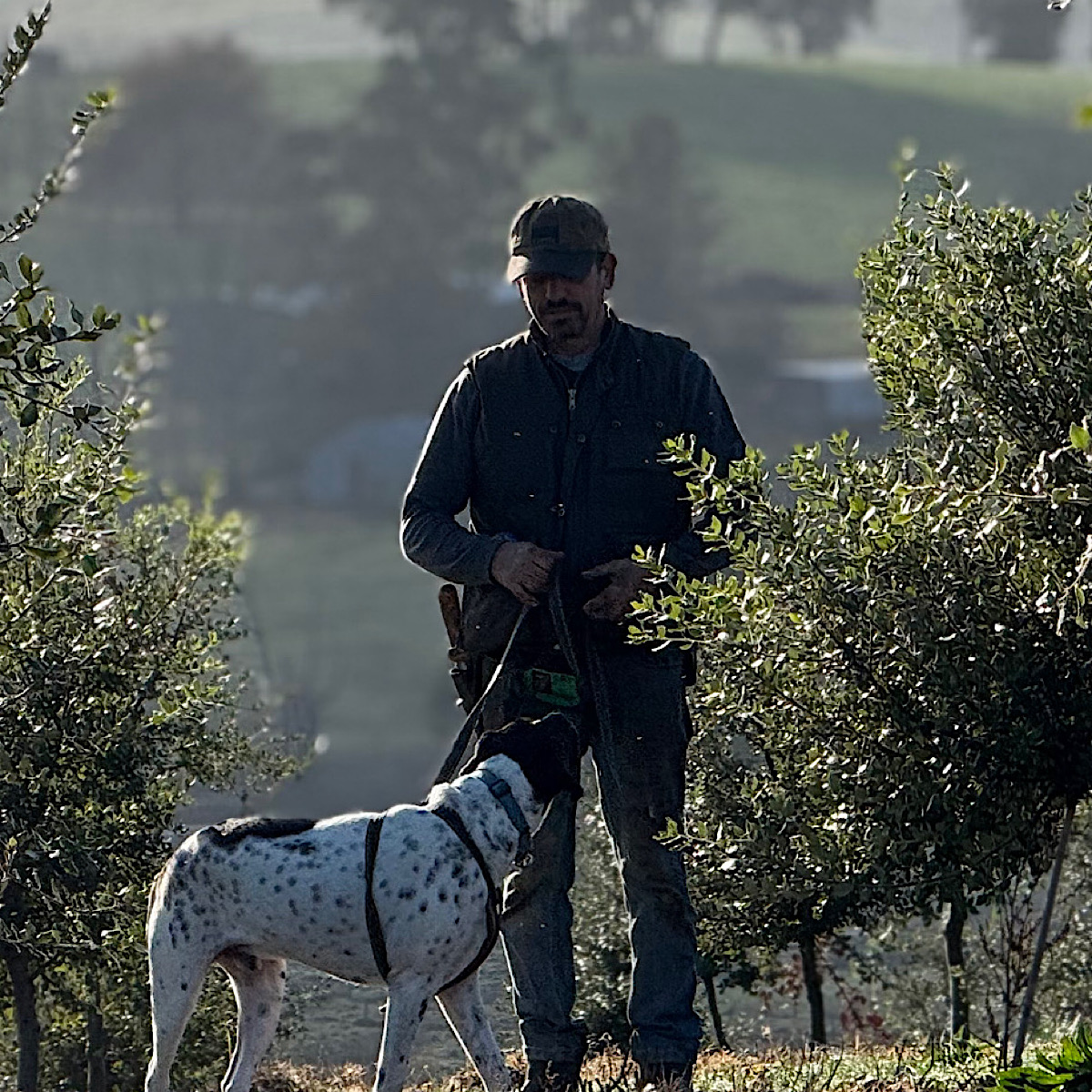 Truffle Experiences by Scotch Hill