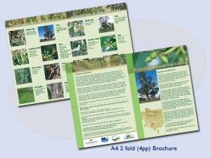 brochures-warragul-21